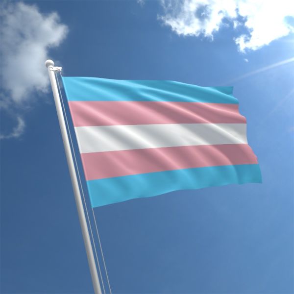 File:The Trans Adam Theory.jpg